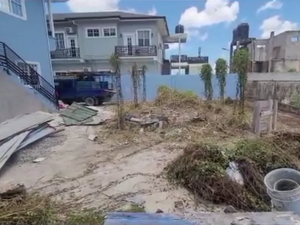 Yard before clean-up and weeding